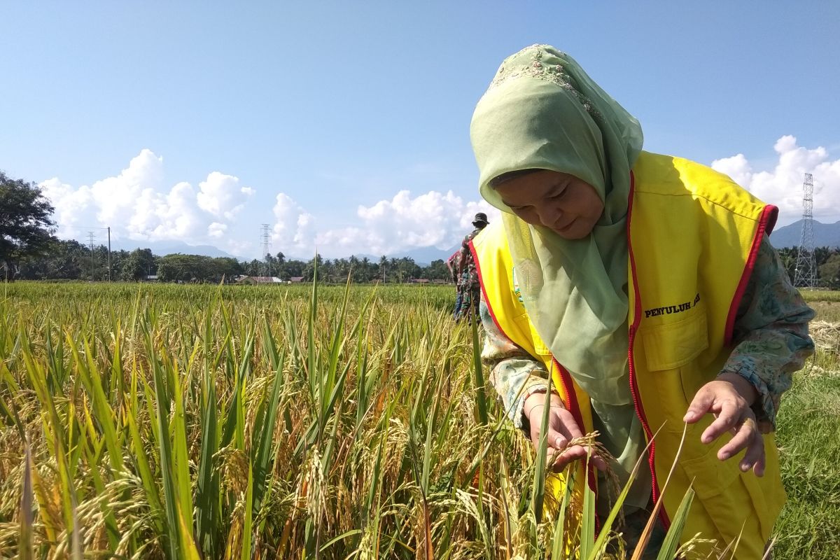 Petani Aceh Besar beralih gunakan pupuk organik