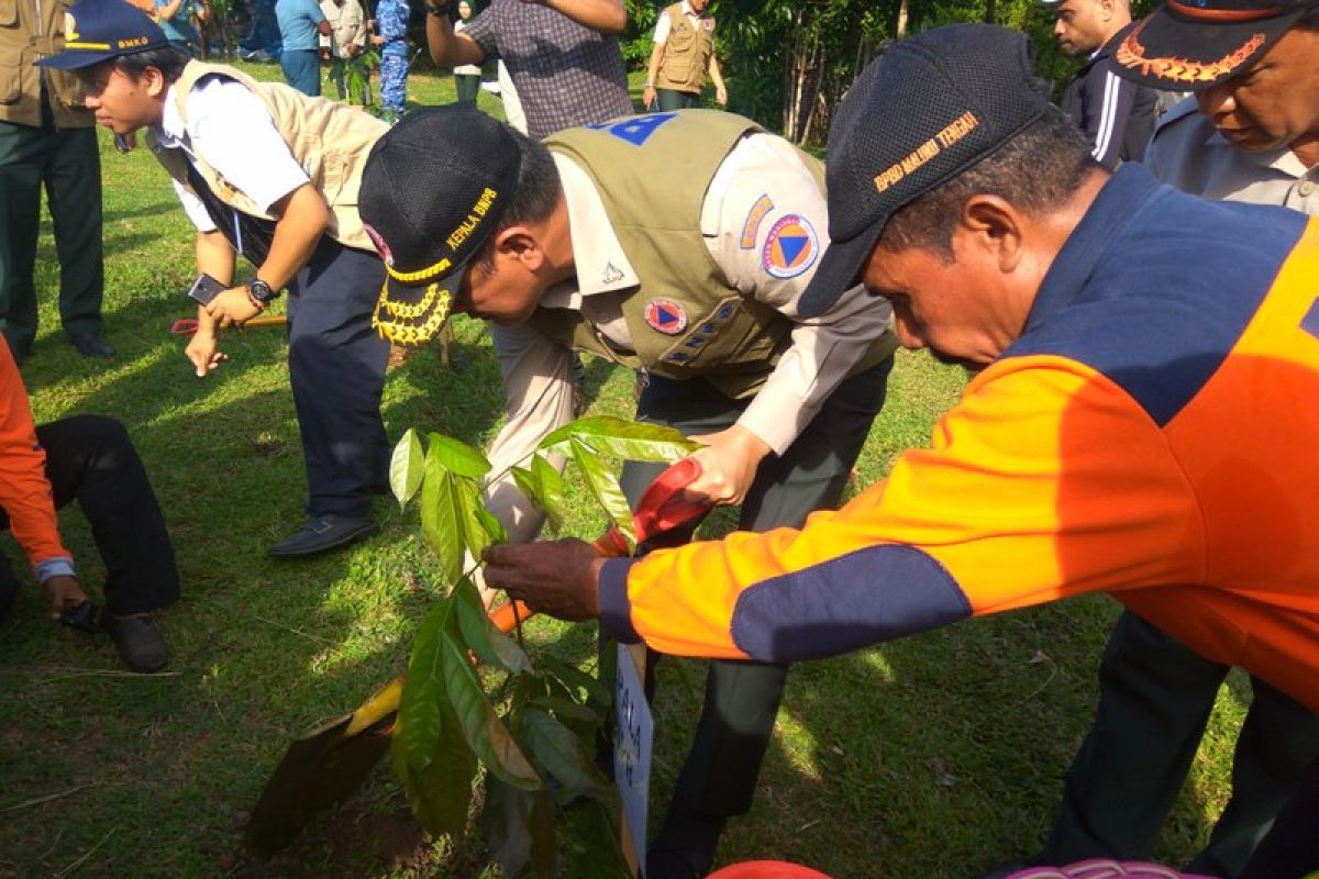 Kepala BNPB minta Pemkab Buru perhatikan lingkungan