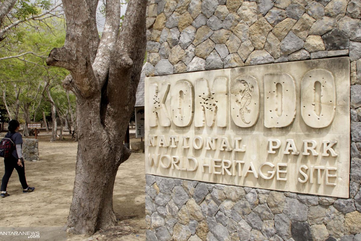 Jokowi consents to shut down Komodo Island: spokesman