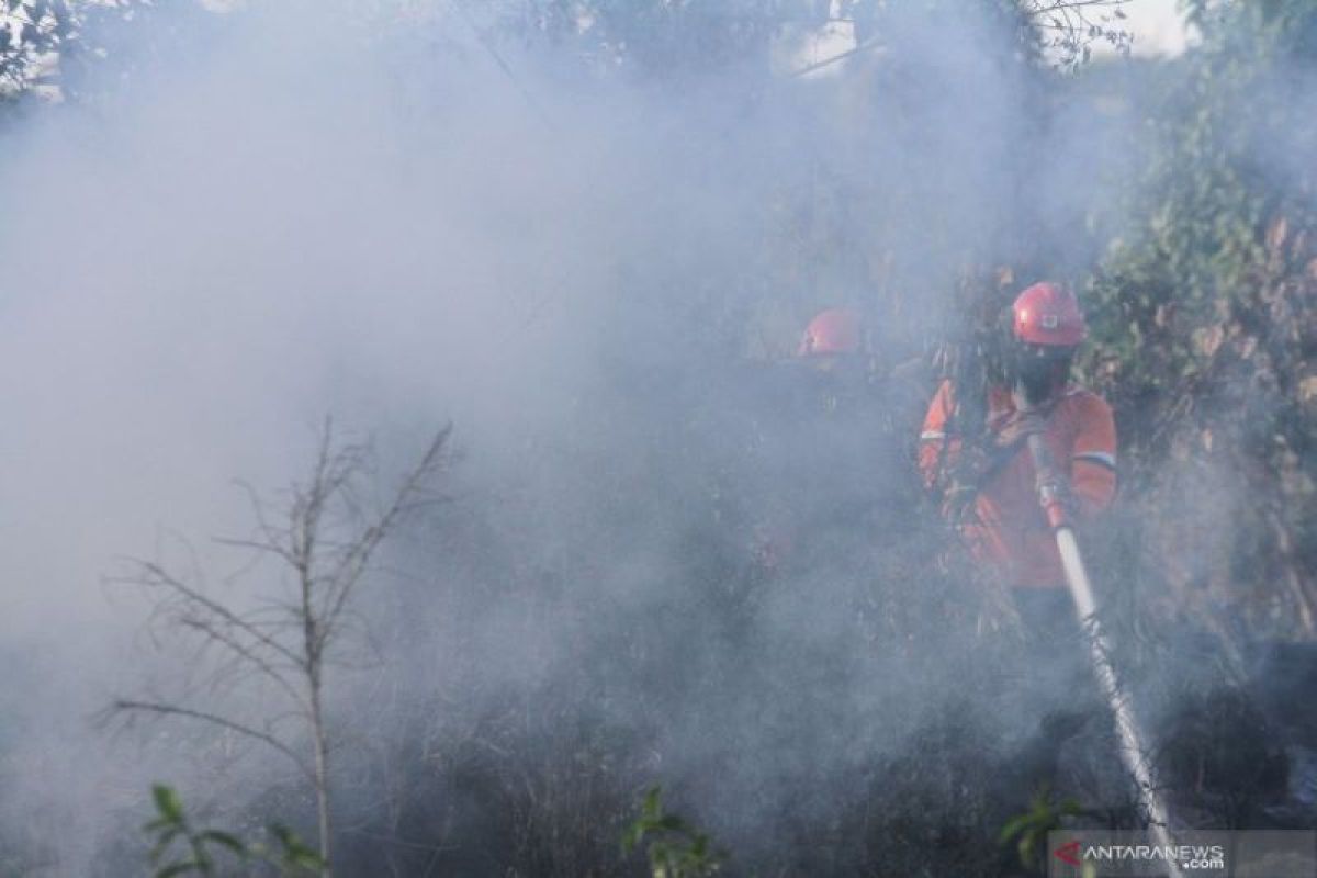 Satgas Karhutla tanggulangi titik-titik panas di Riau