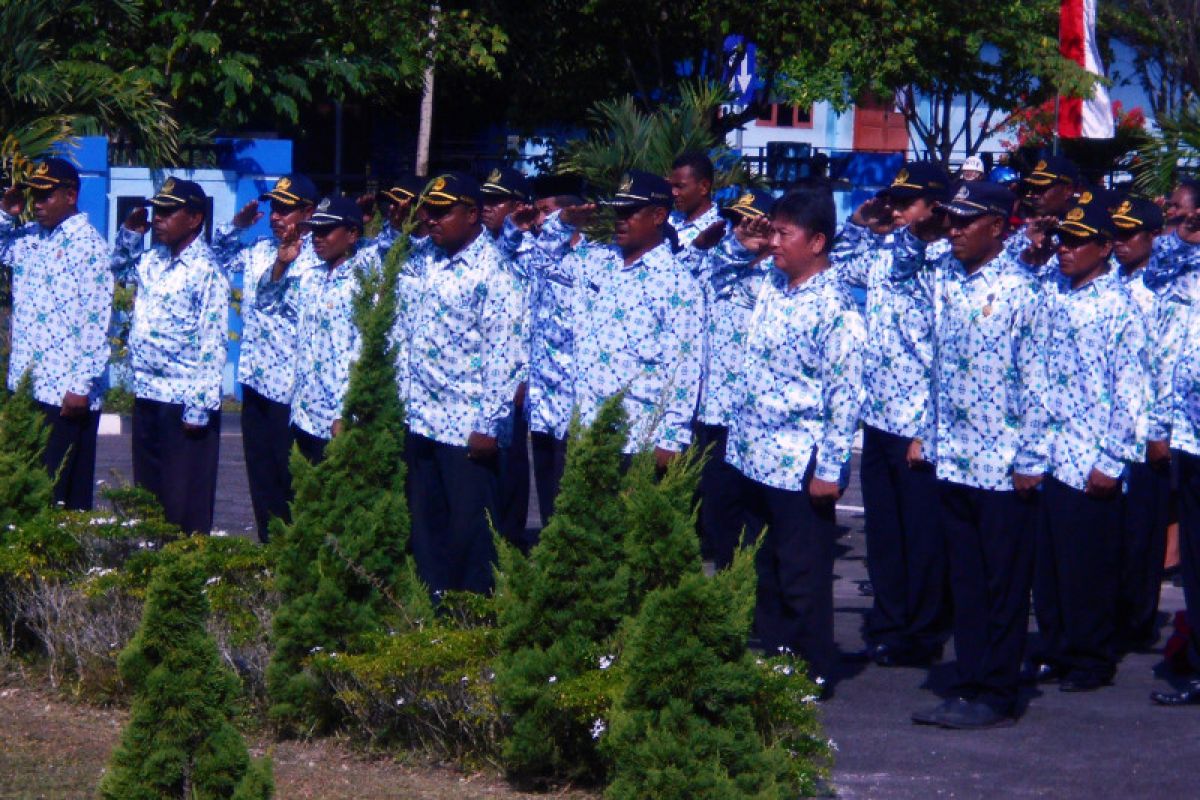 BKD Papua segera buka pendaftaran CPNS secara daring