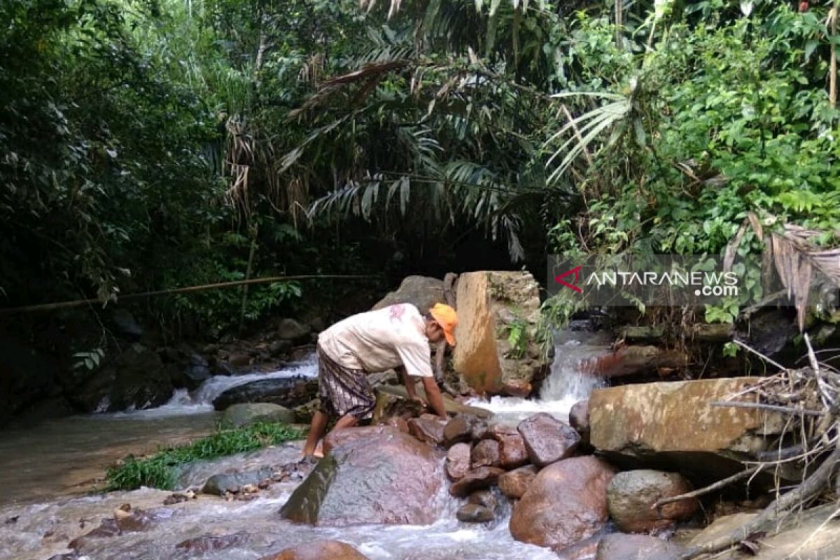 Irigasi jebol, puluhan hektare sawah di Sipirok terancam kekeringan