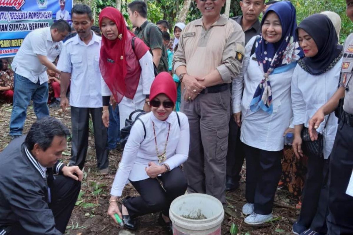 Pembangunan sarana air bersih Pulau Panjang Pasaman Barat dimulai