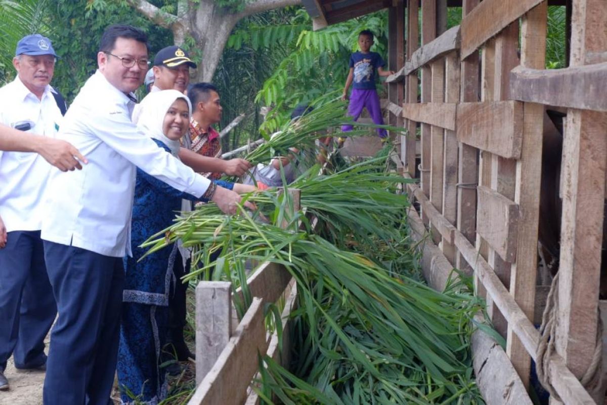 Bupati Muaro Jambi apresiasi  program revitalisasi ekonomi rakyat di lahan gambut