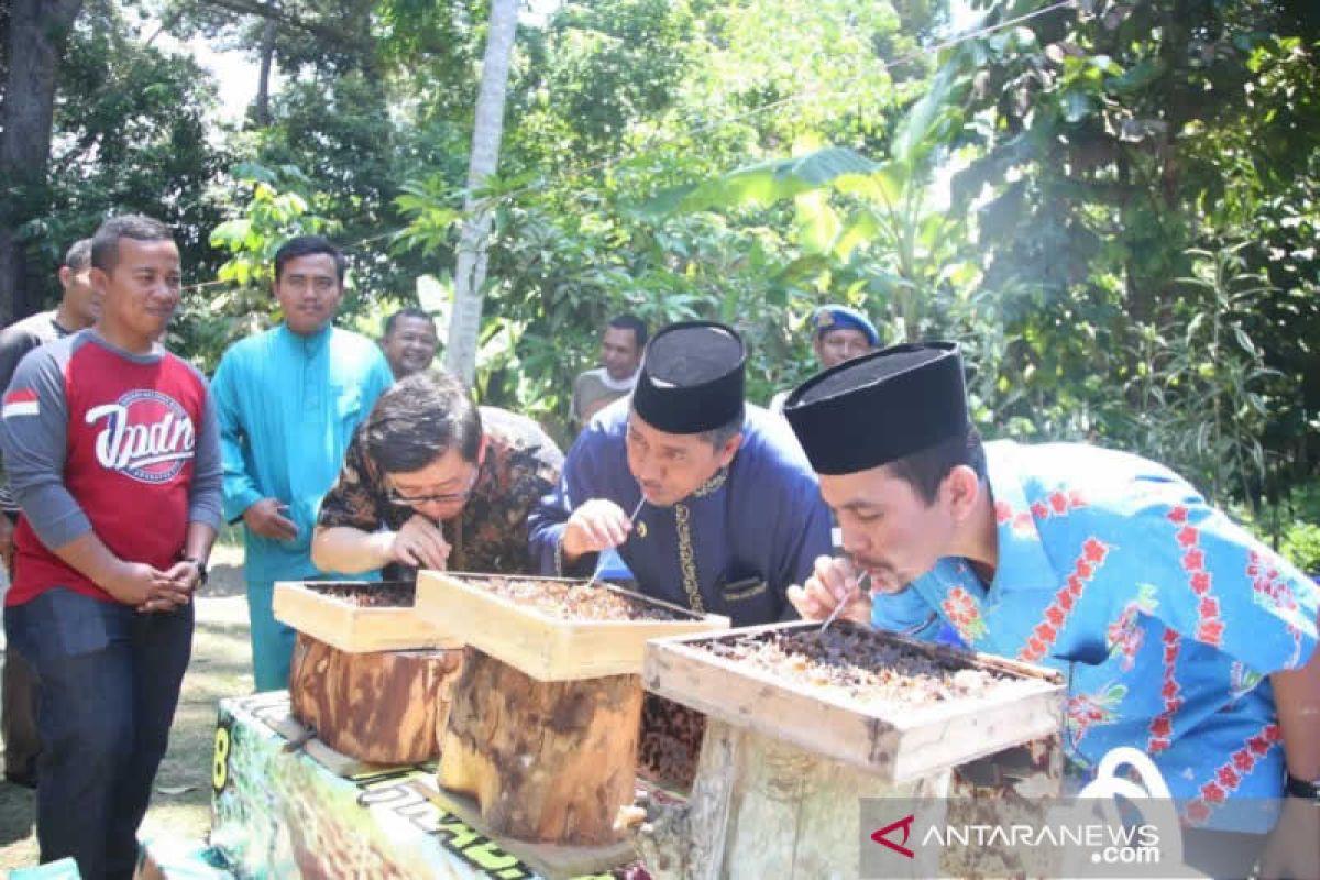 Warga layuh HST Kalsel budidayakan madu kelulut