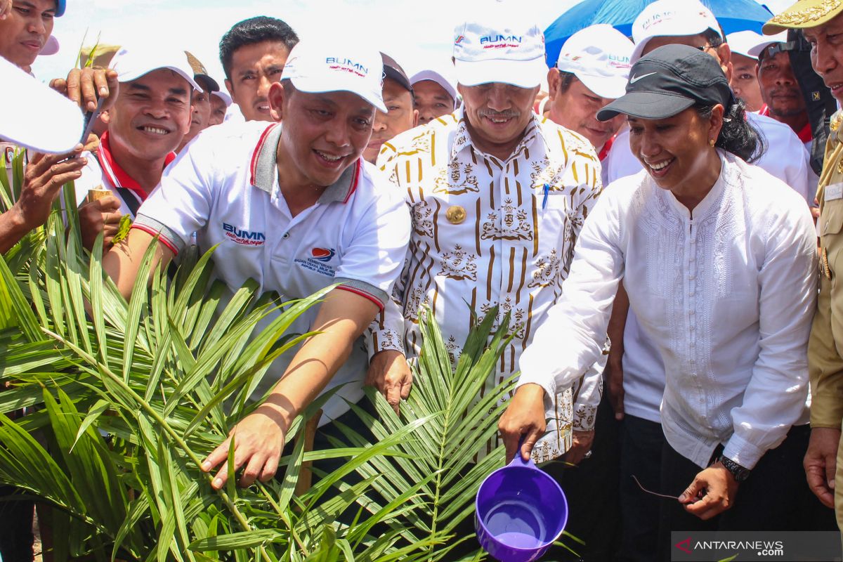 Menteri BUMN : peremajaan sawit tentukan pengembangan biodiesel