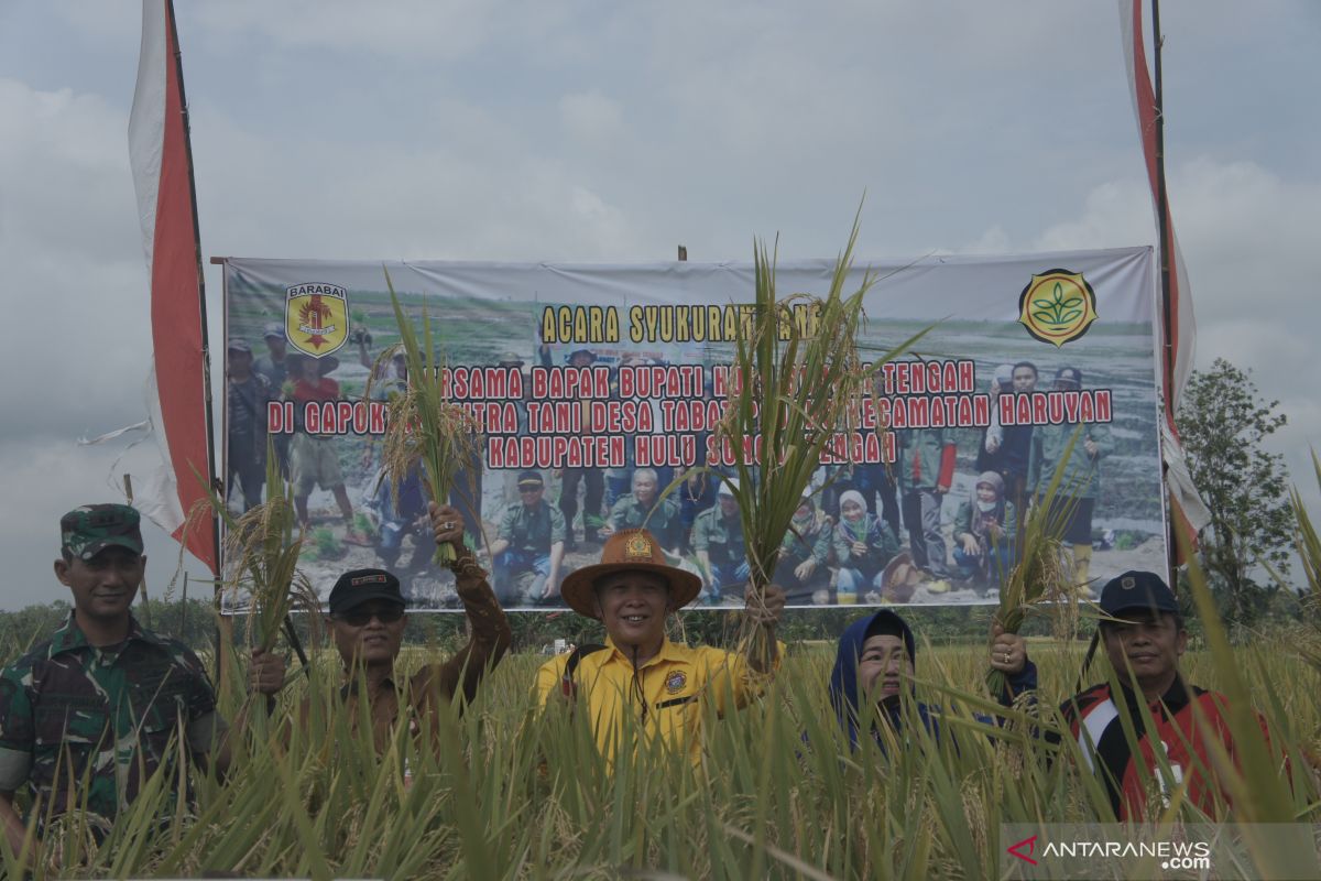 Bupati HST lakukan panen dan tanam perdana padi di Desa Tabat Padang
