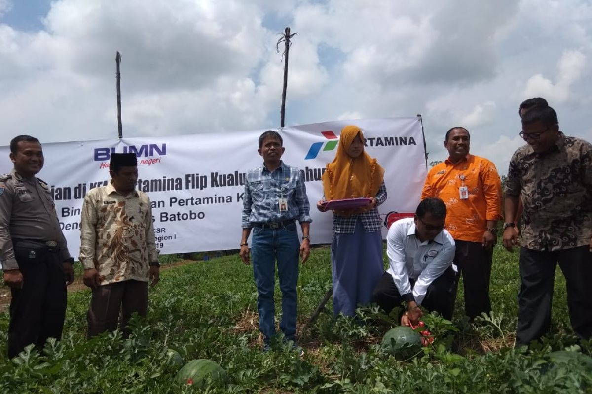 Petani binaan Pertamina panen 30 ton semangka di lahan marginal