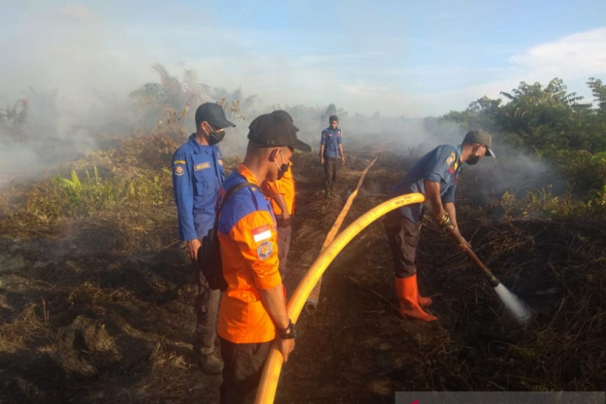 8 hektare lahan kelapa sawit terbakar di Aceh