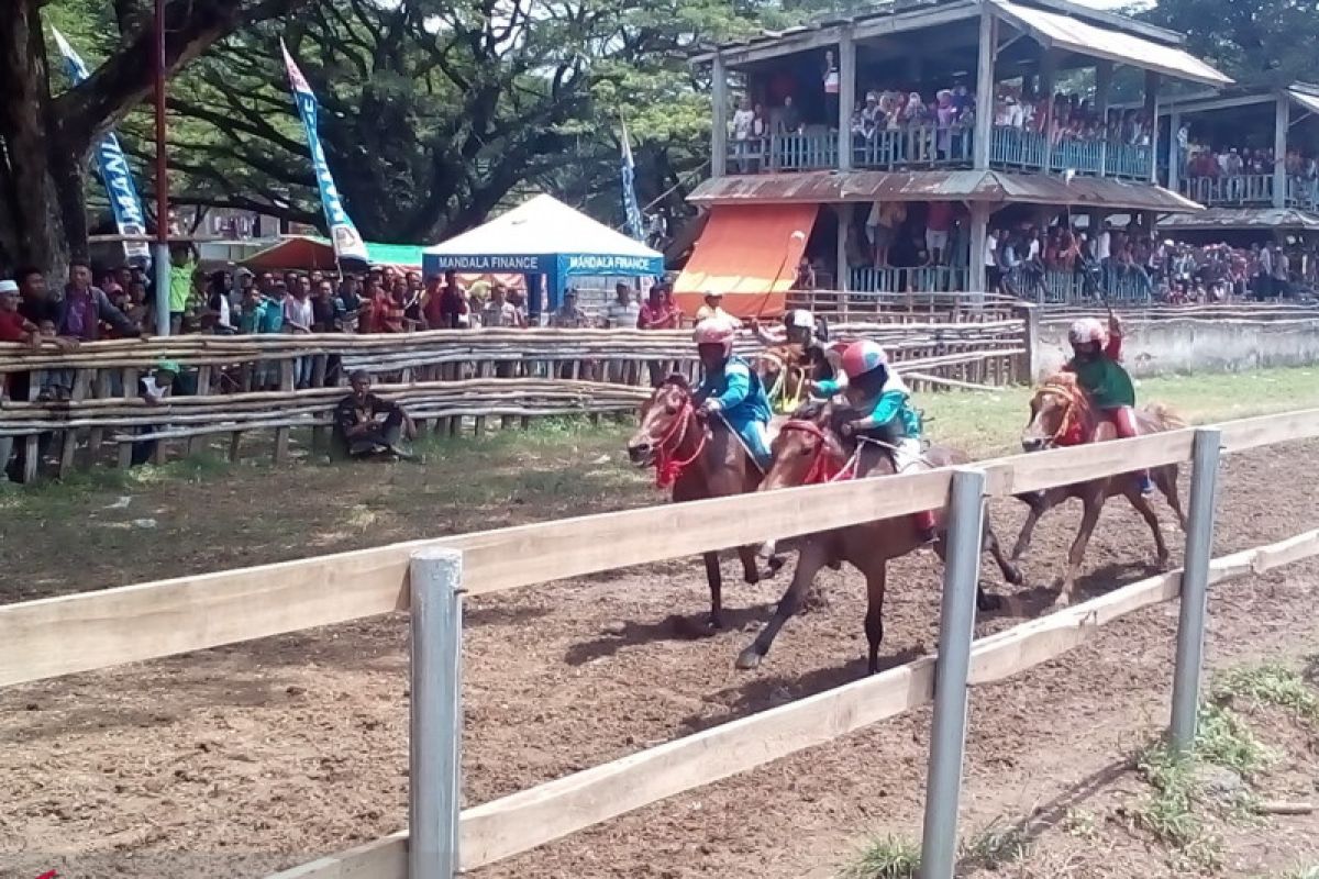 Joki-joki cilik ikut adu kebolehan di Festival Pesona Tambora