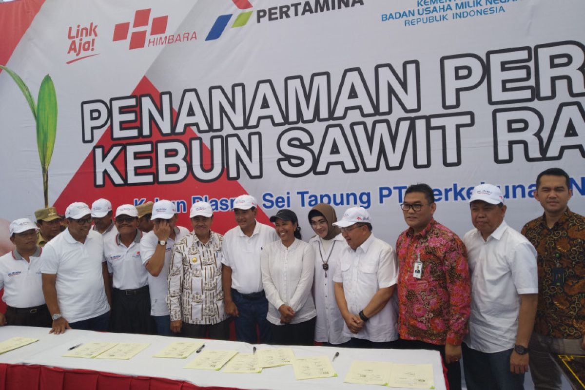 Menteri BUMN resmikan program peremajaan sawit 32.996 ha