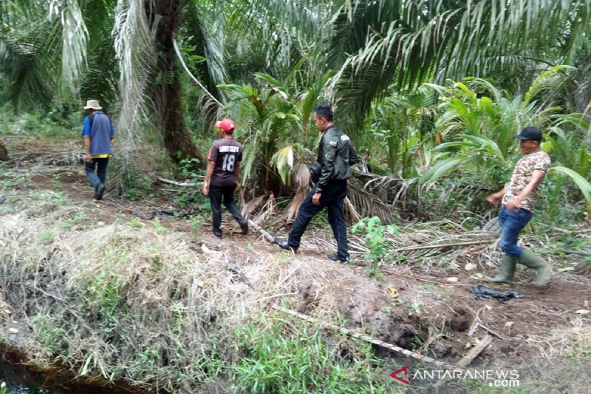 BBKSDA Riau temukan jejak harimau dewasa di Kampar