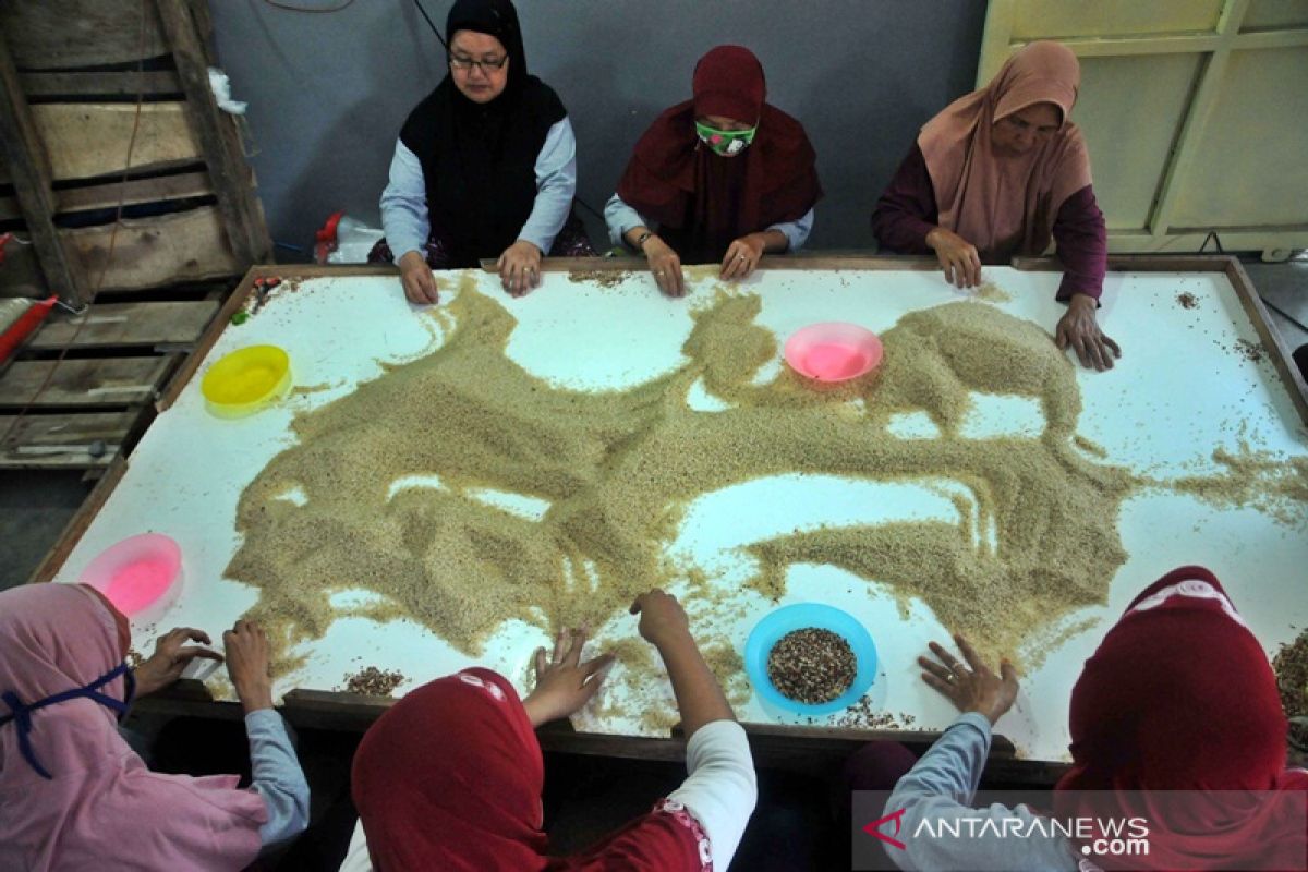 Petani Boyolali kembangkan beras organik