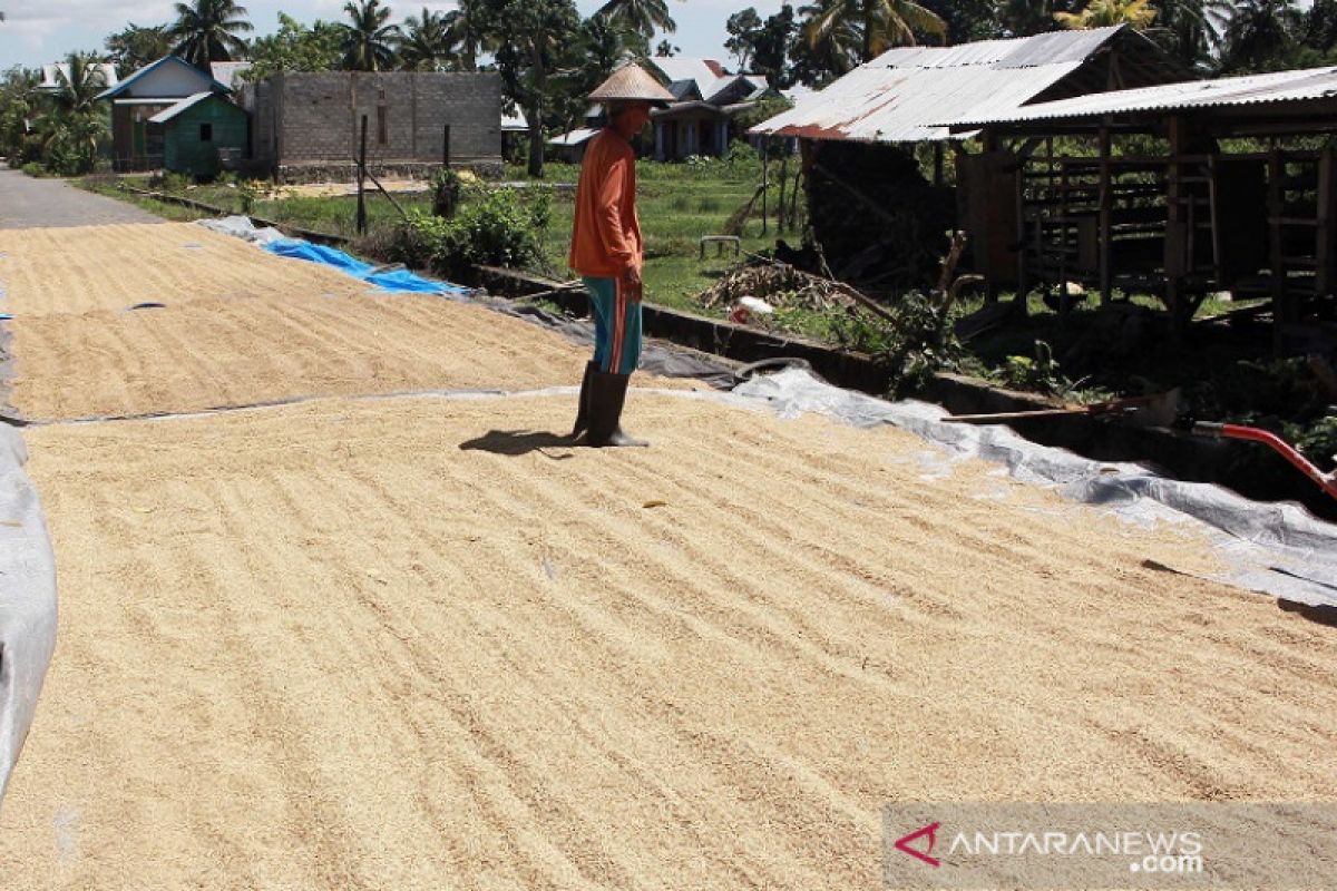 Semarak Pemilu di Pulau Buru