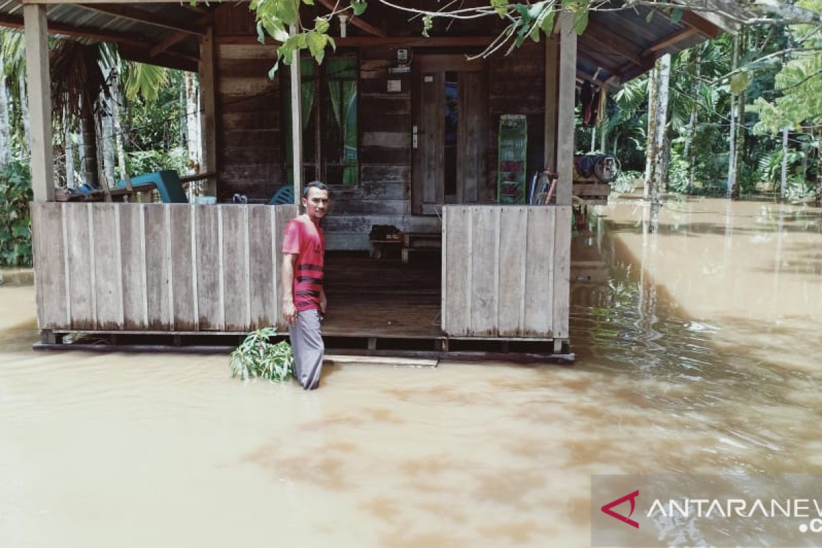 Puluhan rumah di Aceh Jaya mulai dikepung banjir