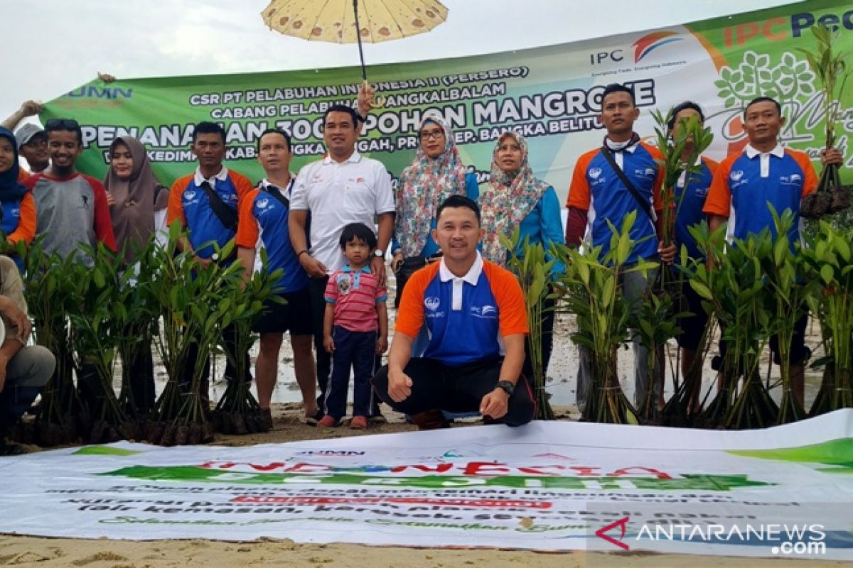 IPC Pangkalbalam bersihkan Pantai Baskara