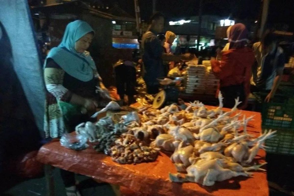 Usaha peternakan unggas di Lebak dorong kesejahteraan masyarakat