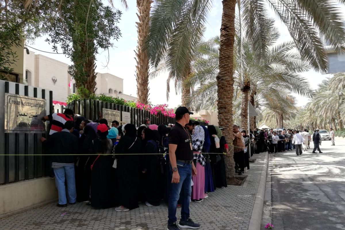 WNI di Arab Saudi antusias ikuti pemilihan umum
