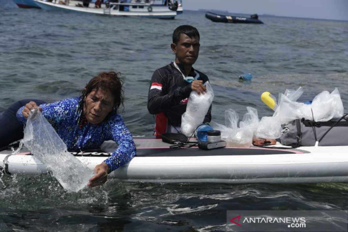 96.005 benih lobster gagal diselundupkan ke Singapura dilepasliarkan