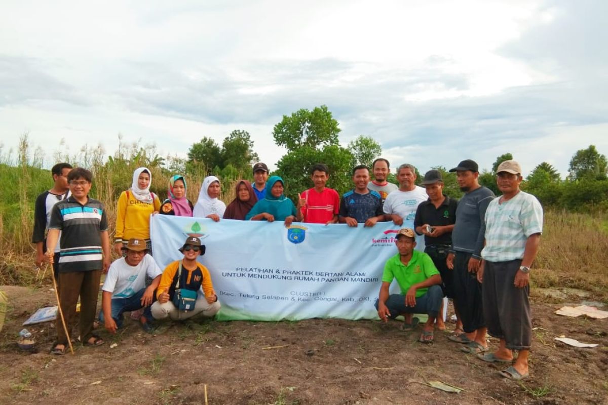 Pelatihan lokal pertanian alami mendorong kebun pangan mandiri