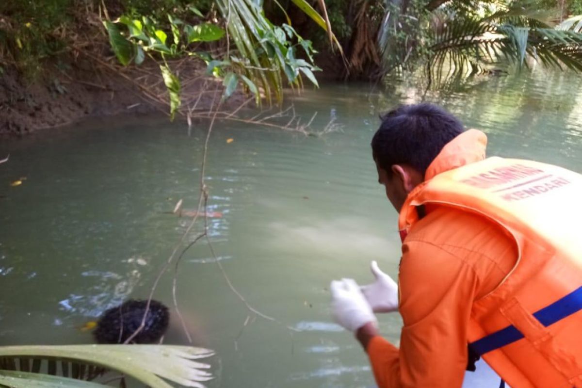 Seorang warga tewas diterkam buaya saat cari ikan