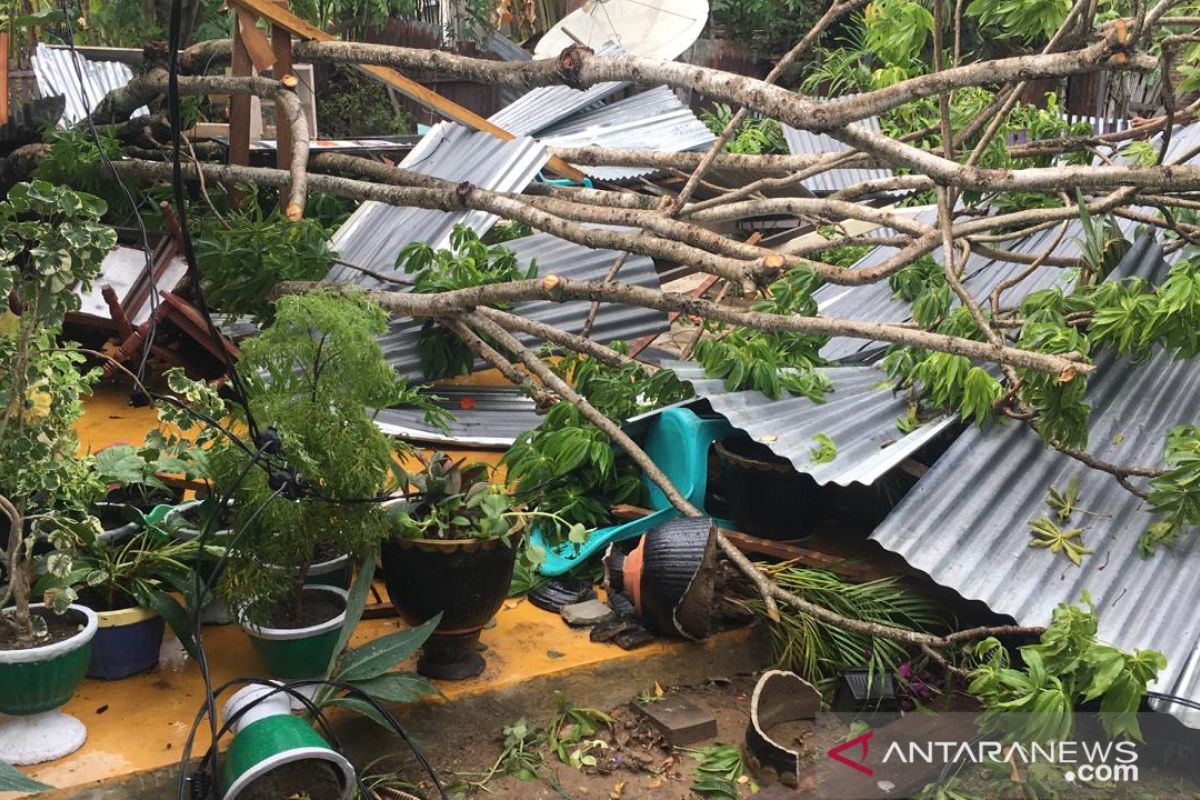 Pohon tumbang menimpa rumah warga di Gorontalo