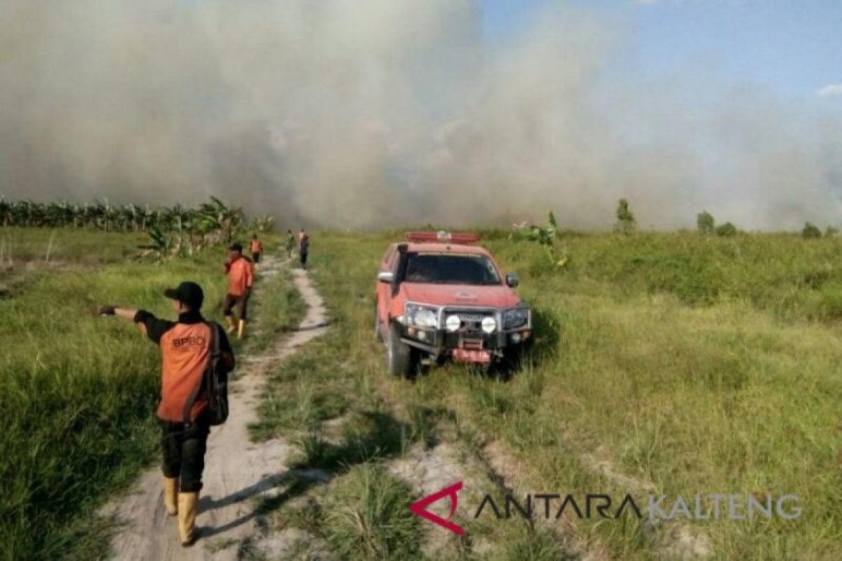 Gubernur Kalteng ingatkan masyarakat bahaya kebakaran lahan.