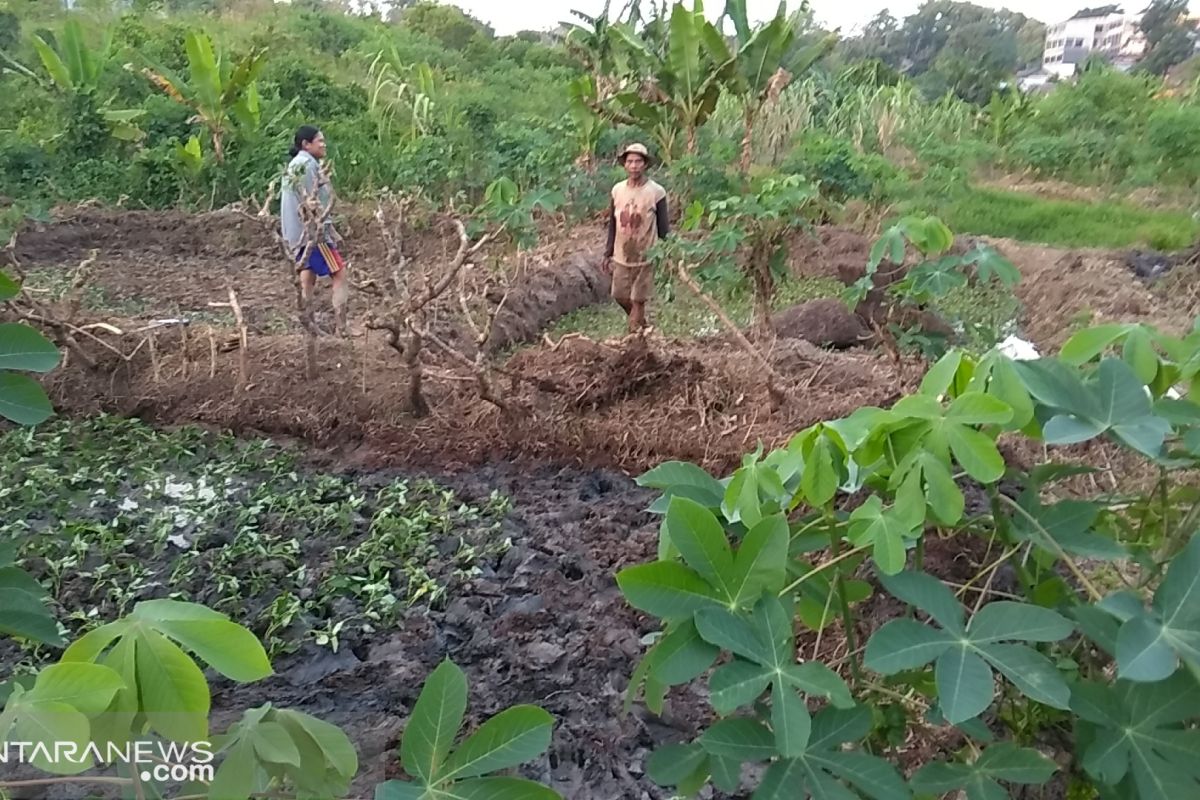 Warga keluhkan IMTN diduga palsu