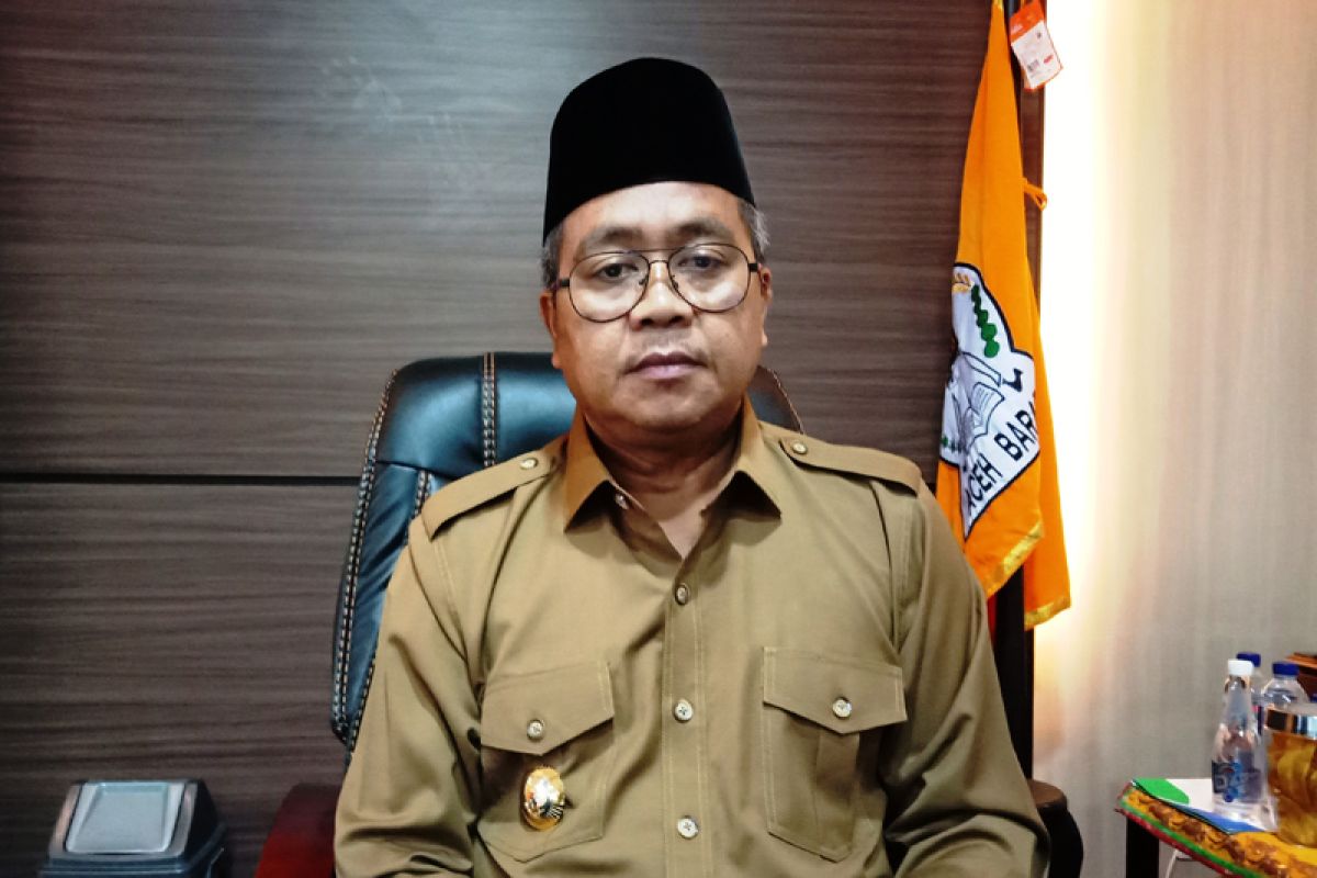 Rotan asal Aceh Barat mulai dikirim ke Cirebon, warga peroleh Rp1 juta/hari