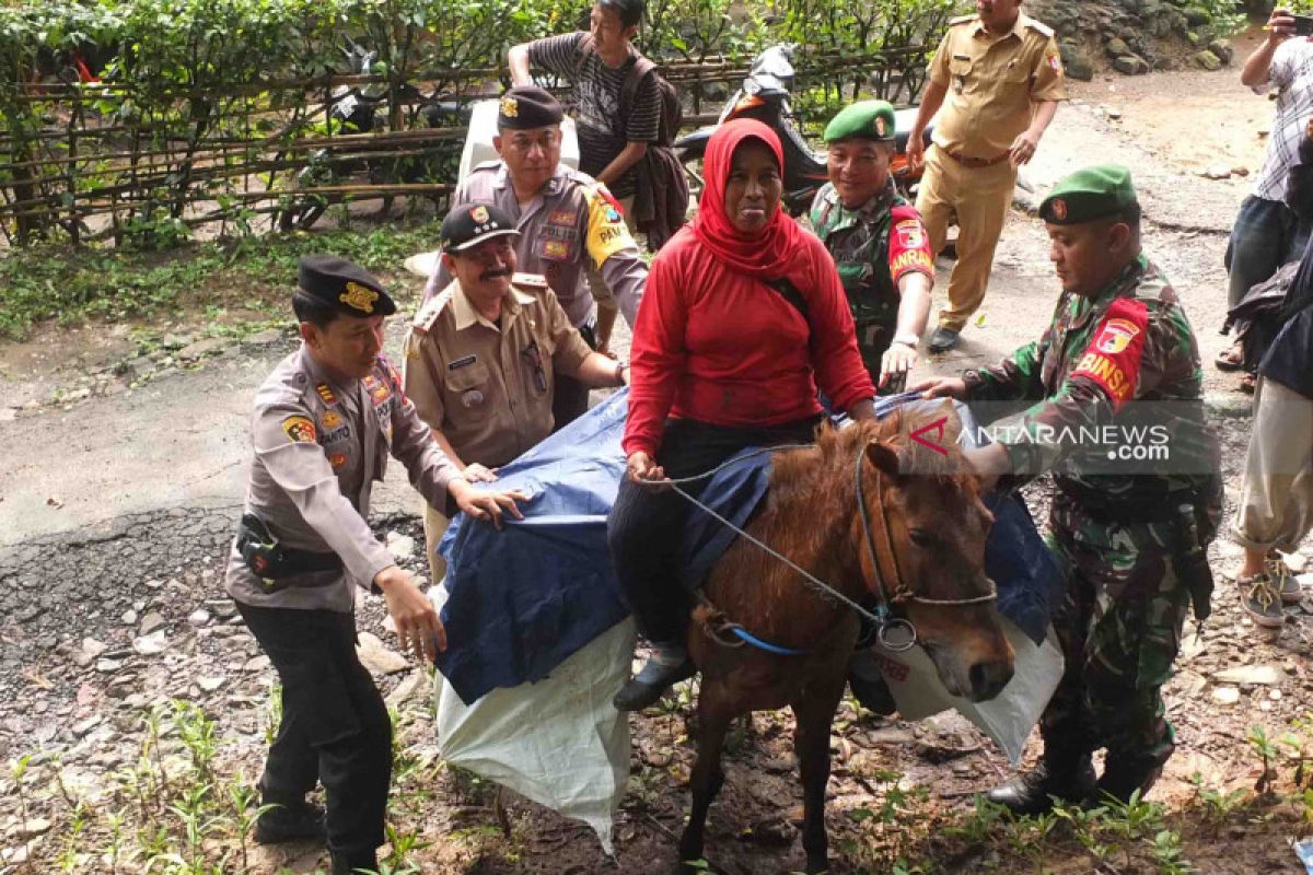 Akses jalan sulit, distribusi logistik di Jember gunakan kuda (Video)