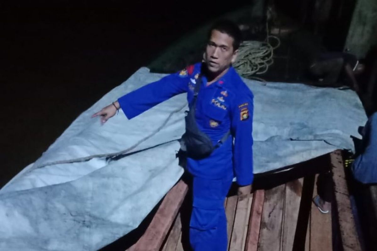 Polair Jambi tangkap kapal pengangkut kayu ilegal