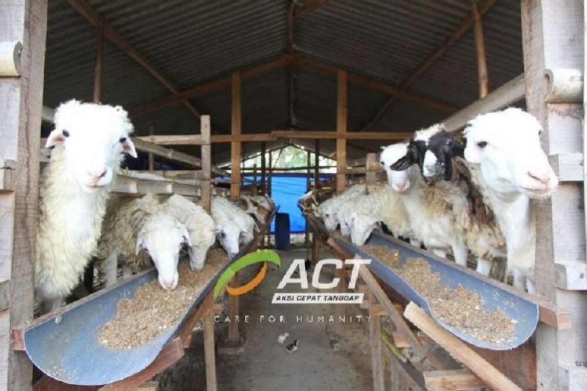 Berbagi berkah Idul Adha lewat Dermawan Berqurban