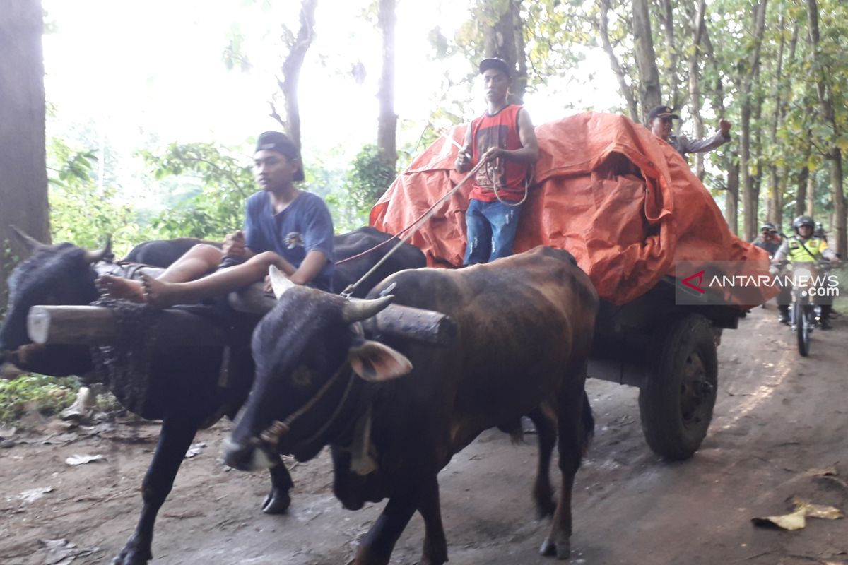 KPU Jember tuntaskan distribusi logistik di sejumlah TPS rawan