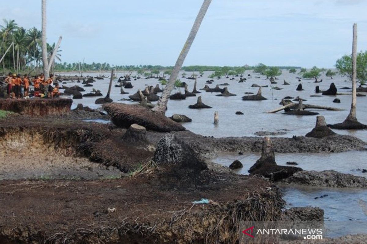 26 anggota studi kementerian tinjau abrasi pantai di Bengkalis