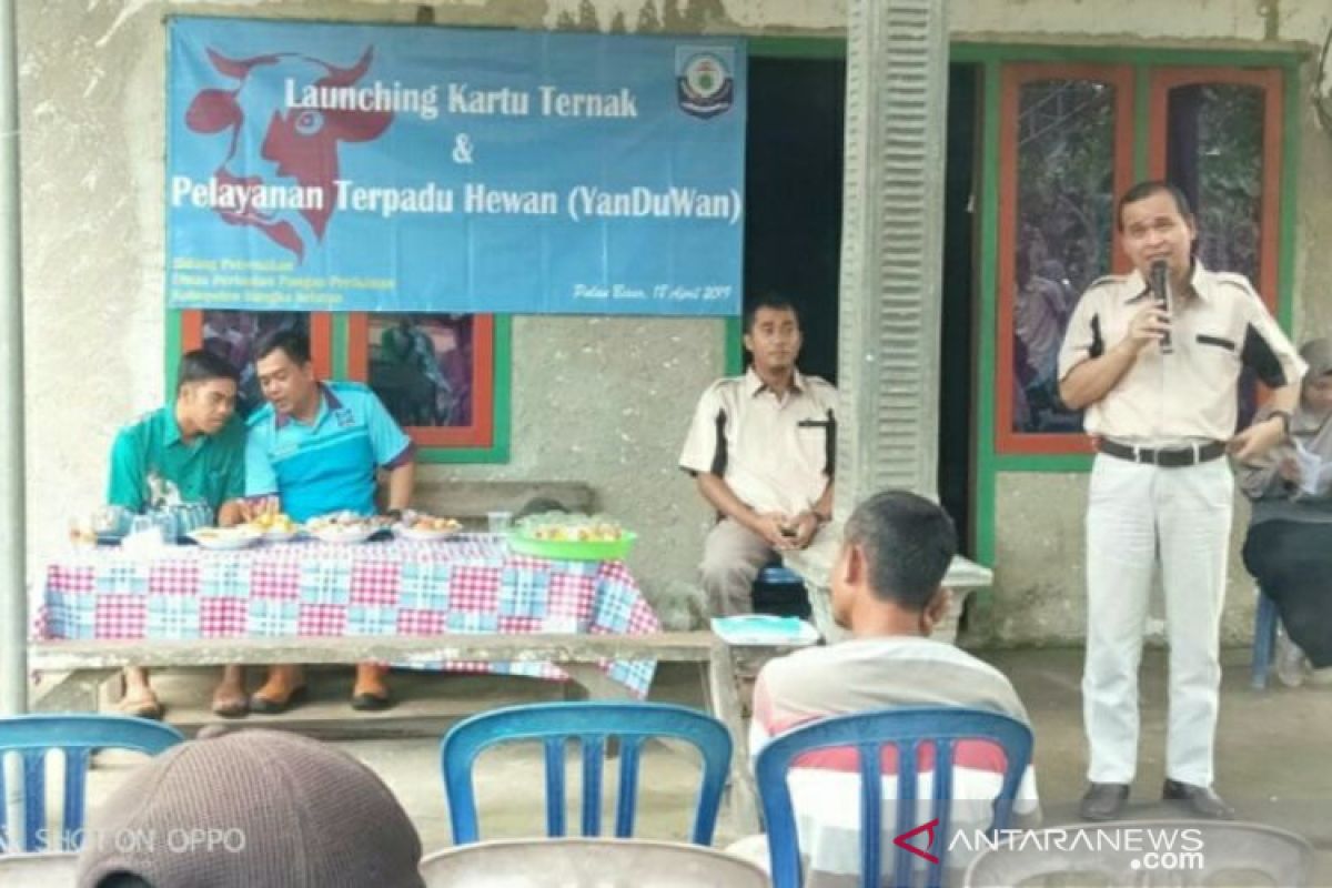 Pemkab Bangka Selatan salurkan ratusan kartu identitas ternak