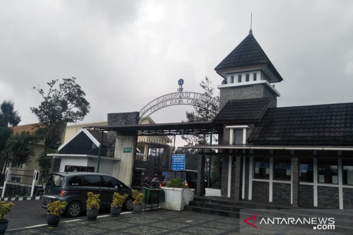 Kebun Raya Cibodas alami peningkatan kunjungan jelang libur