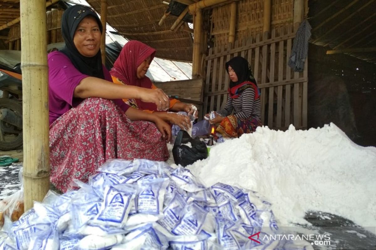 Produsen mengeluh harga jual garam rendah