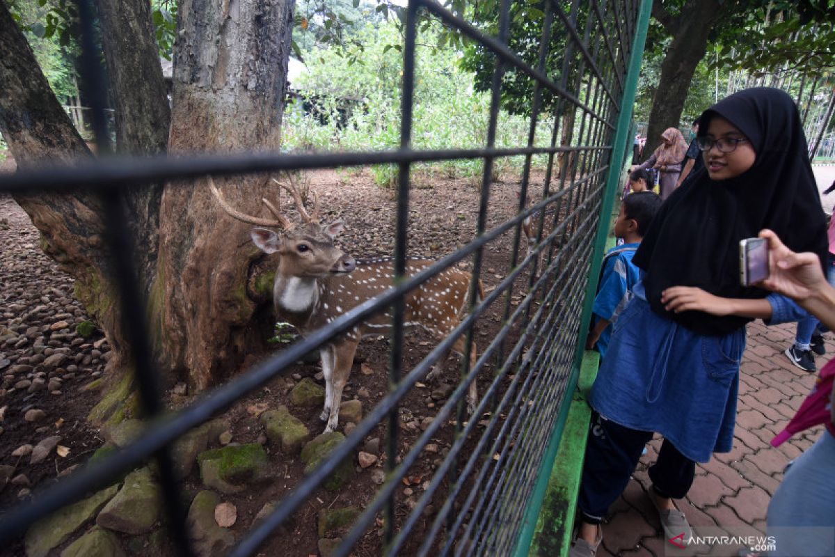 Kebun Binatang Ragunan hari pertama Idul Fitri ditutup untuk kunjungan