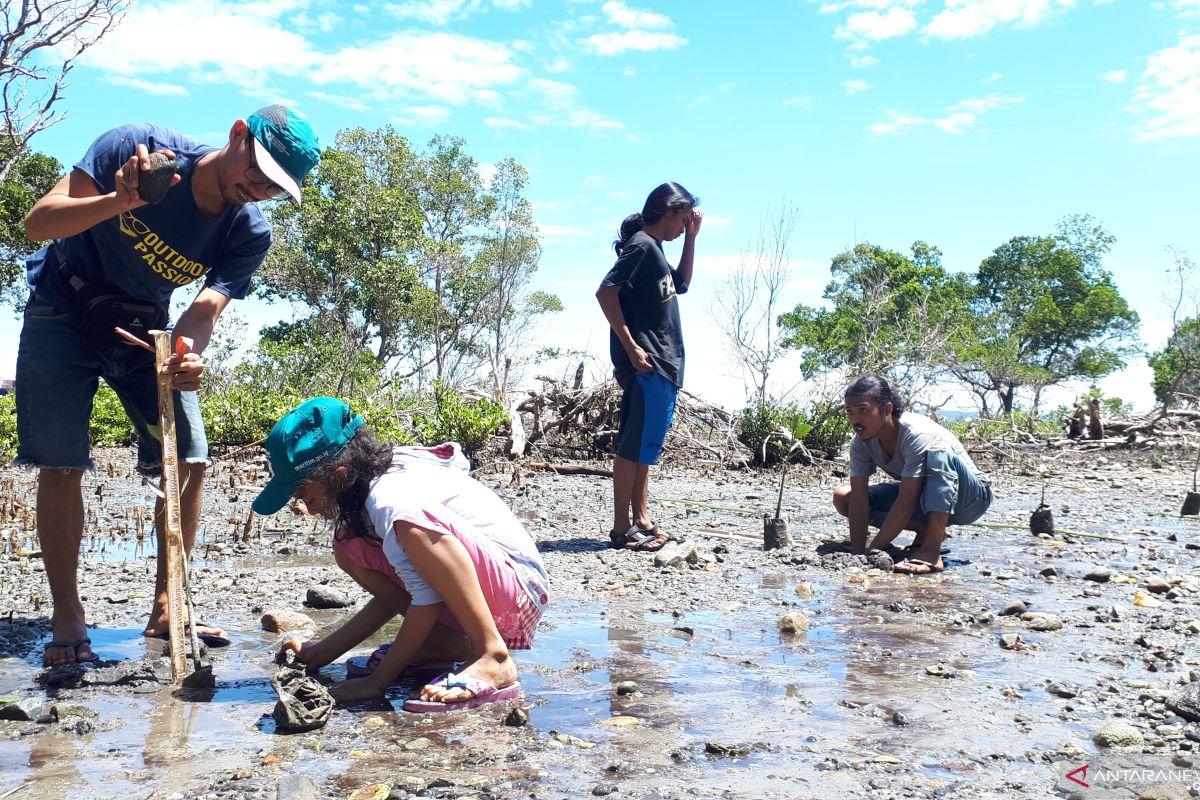 Peringatan Hari Bumi di Palu di tandai tanam 2000 pohon mangrove