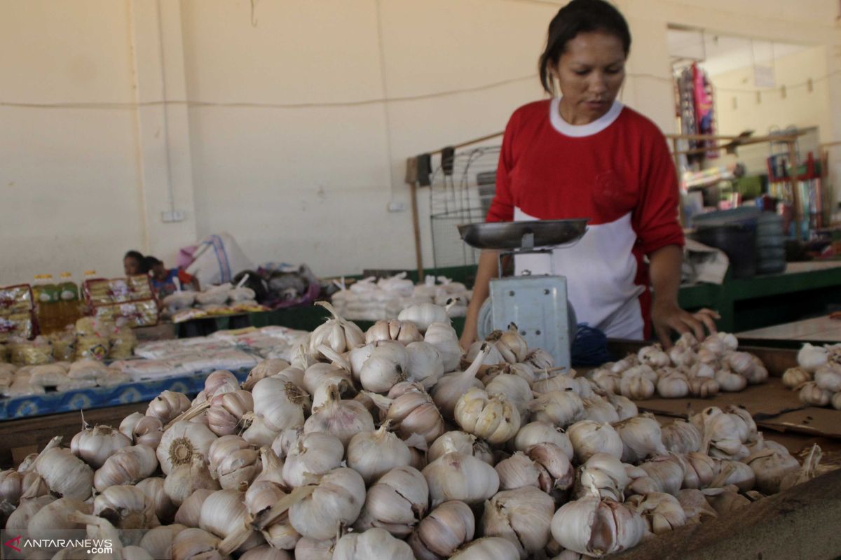 Harga bawang putih tembus Rp70.000/kg