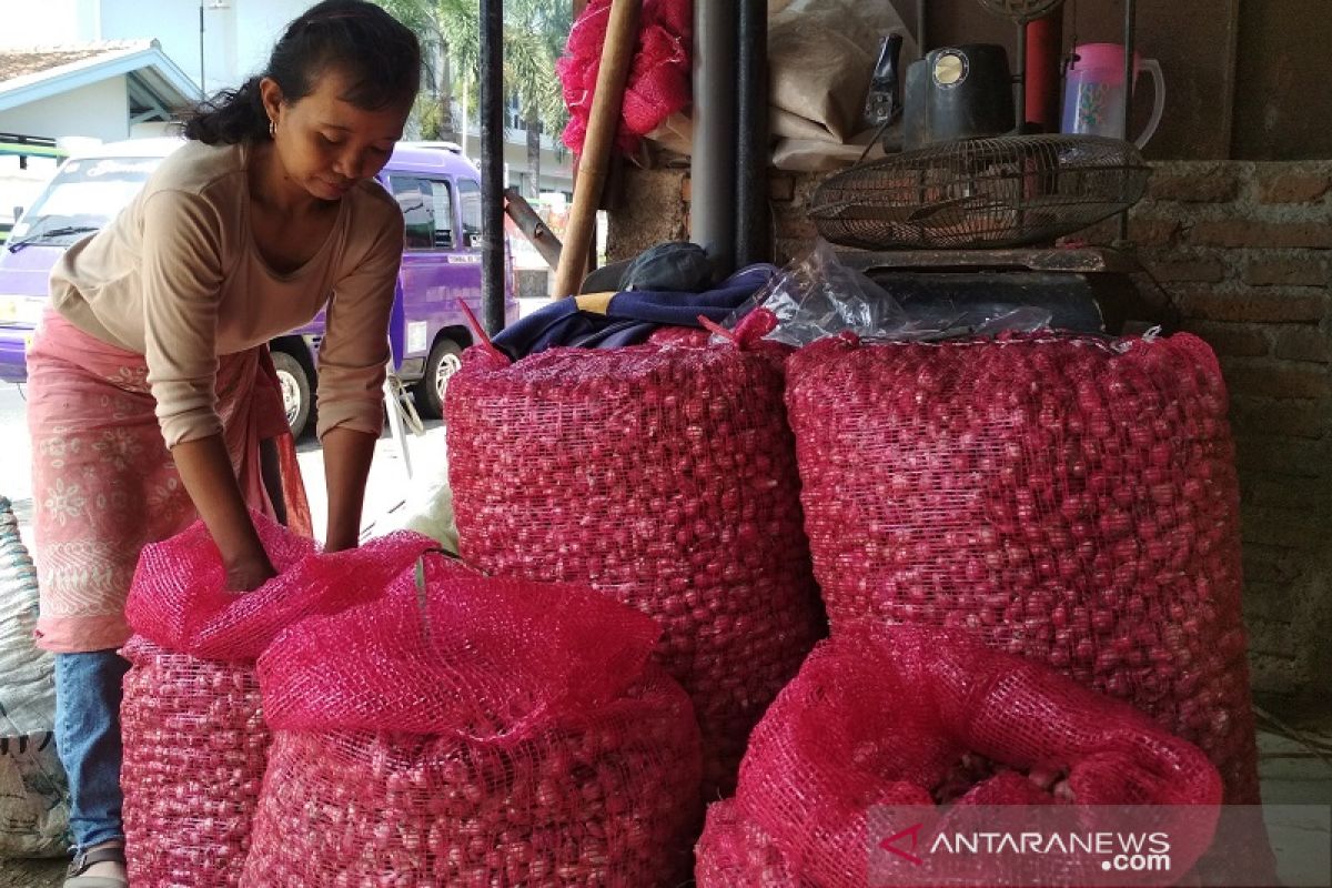 Harga bawang merah di Kudus turun drastis