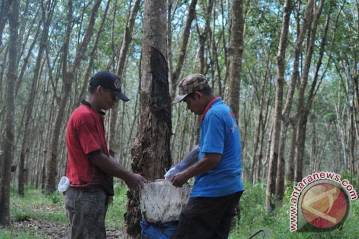 Sumsel tawarkan investasi pabrik ban vulkanisir  senilai Rp5 miliar