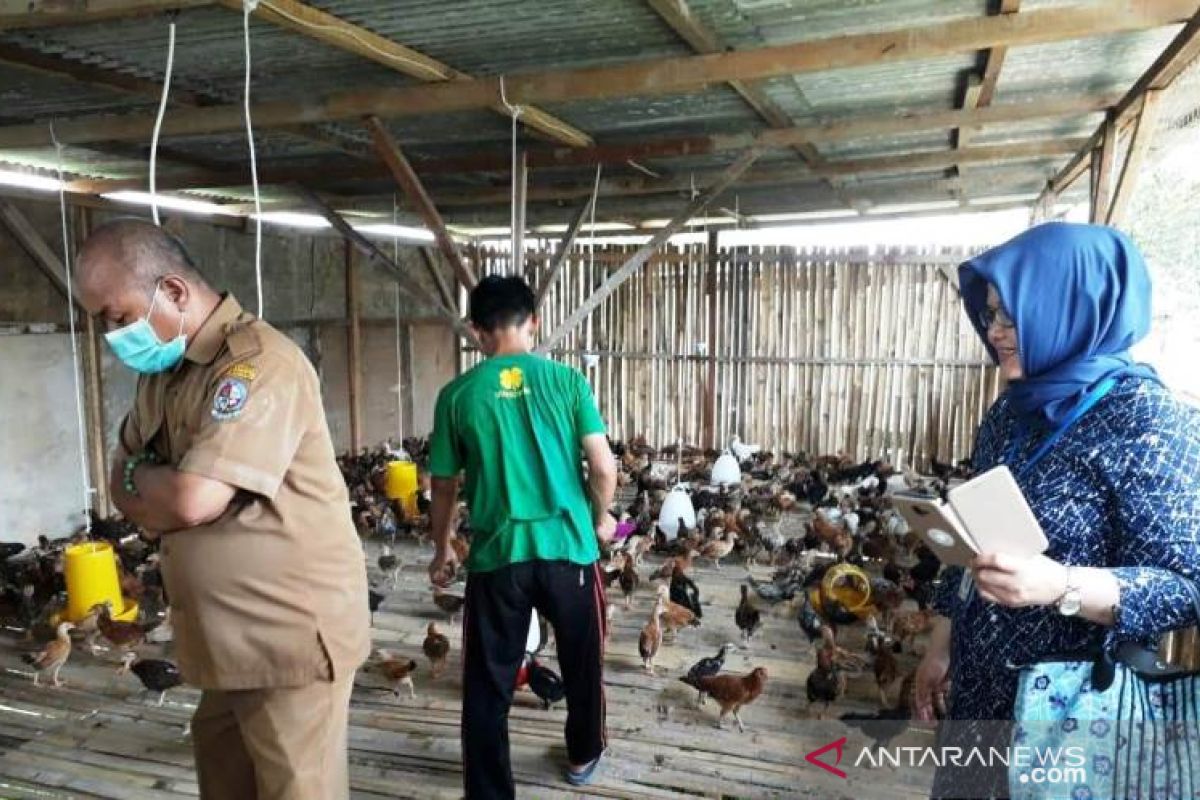 Polbangtan kawal distribusi ayam buras kepada 5 kelompok santri Ponpes Deliserdang