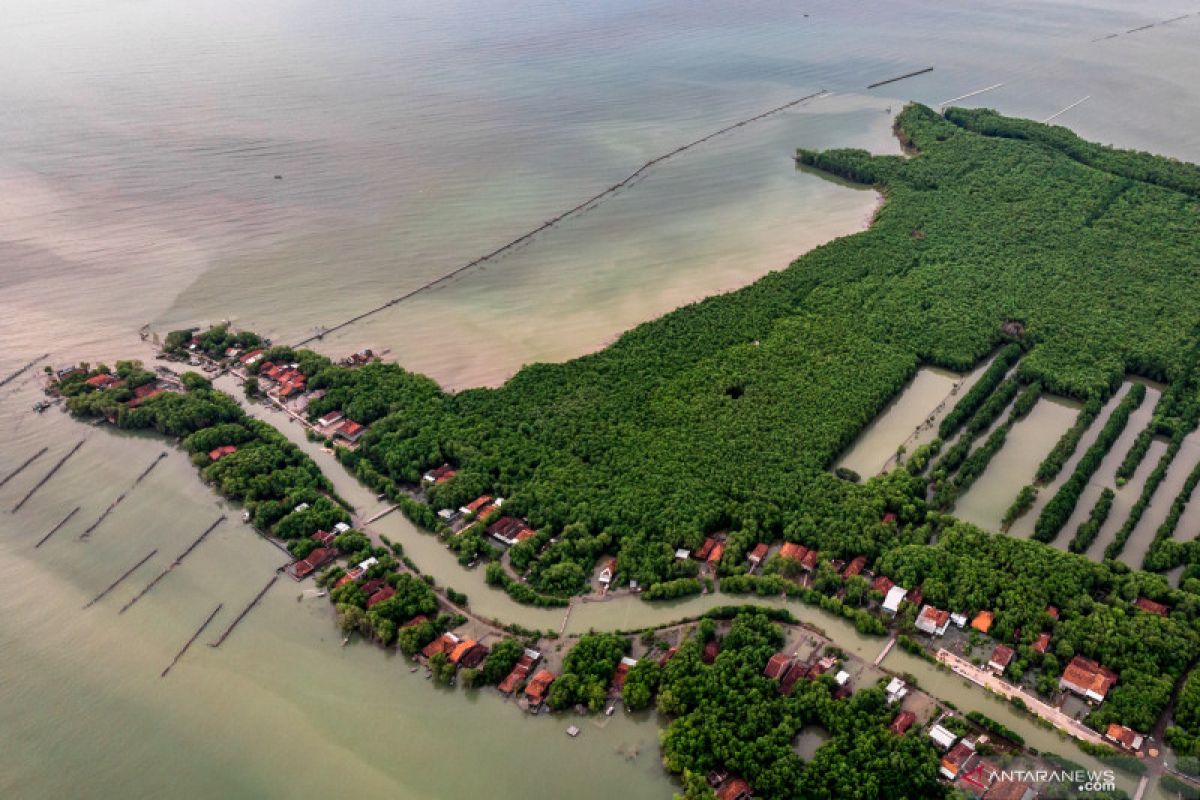 Sea-level rise poses threat to Jakarta, Semarang, Demak coastal areas