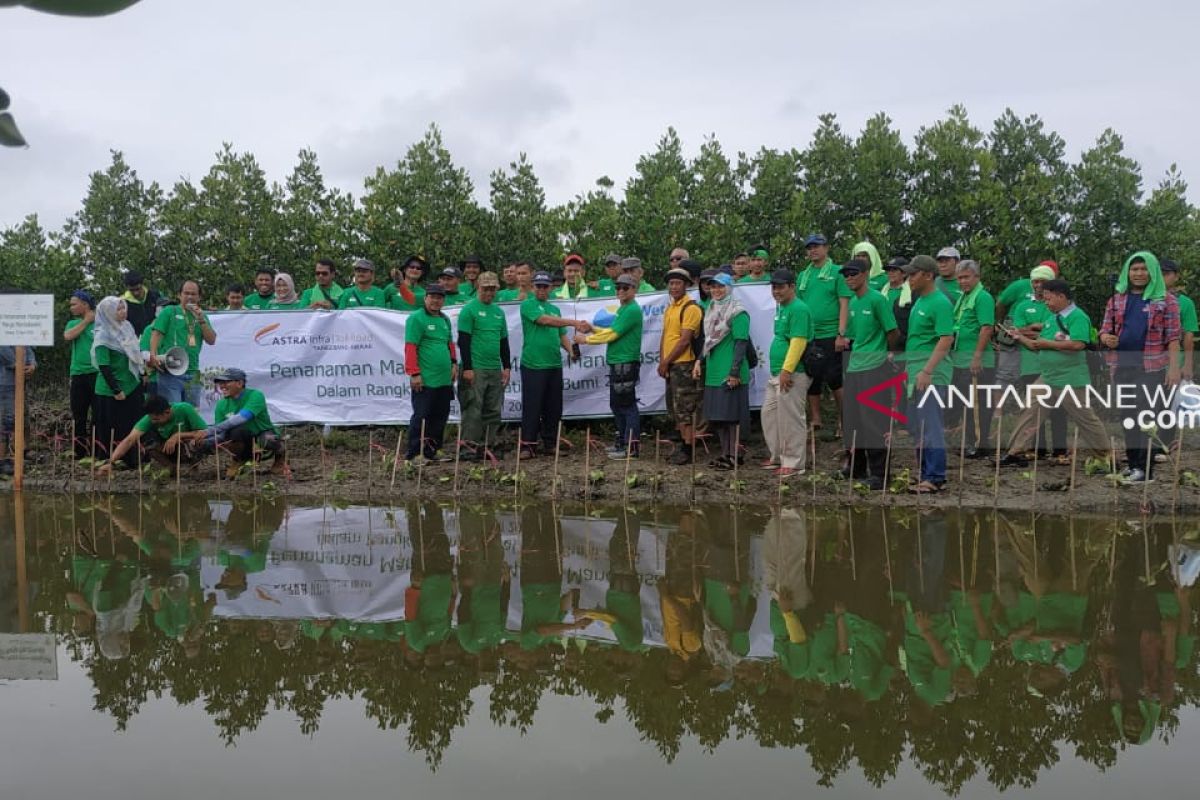 Menjaga Lingkungan Dengan 3.000 Pohon Mangrove