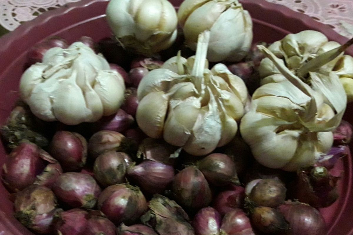 Harga bawang merah dan putih di Malang naik drastis