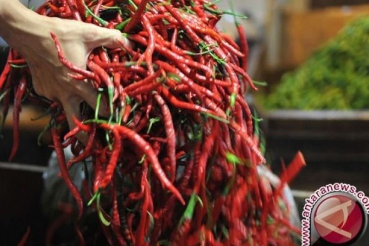 Ministry guarantees chili, onion supply will suffice for Ramadhan