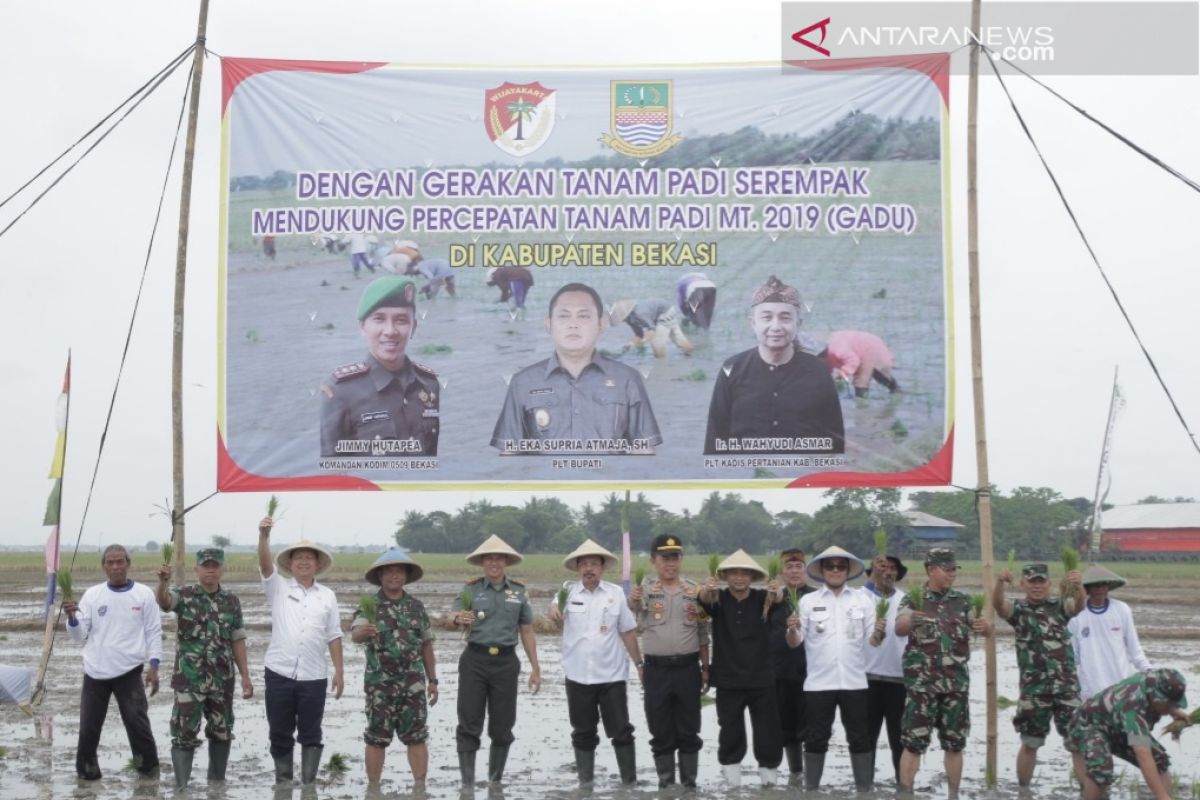 Bekasi mencanangkan gerakan percepatan tanam padi