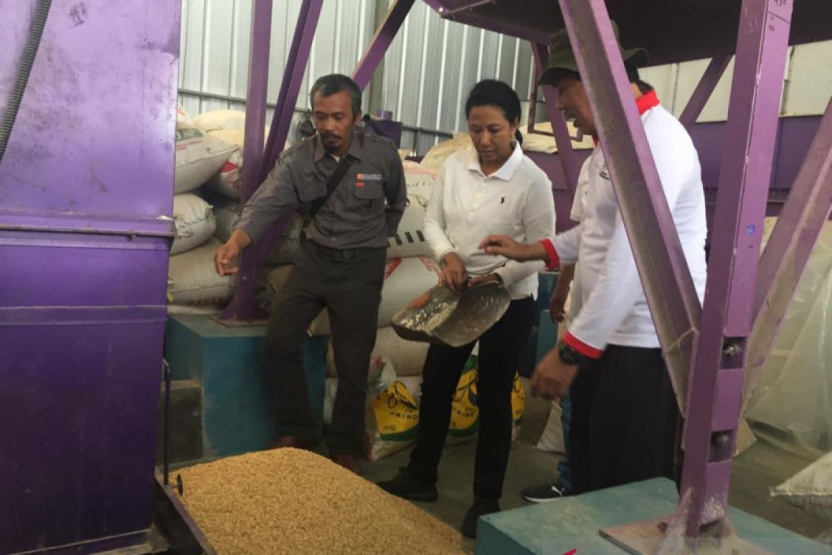 Usai kunjungi penggilingan padi, Menteri Rini belanja beras hitam