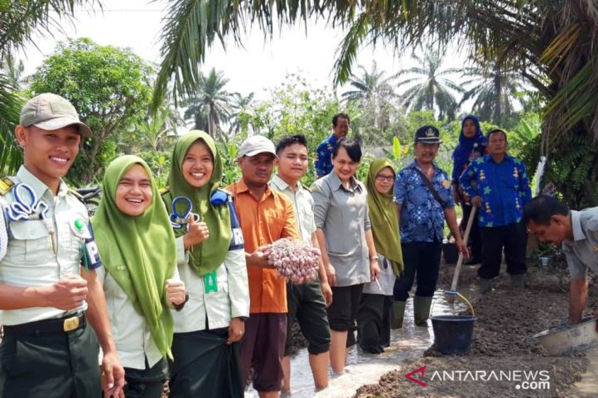 Polbangtan Medan budidaya bawang merah di Batangkuis